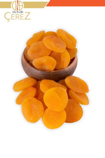 KURU KAYISI
