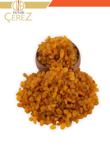 KURU ÜZÜM